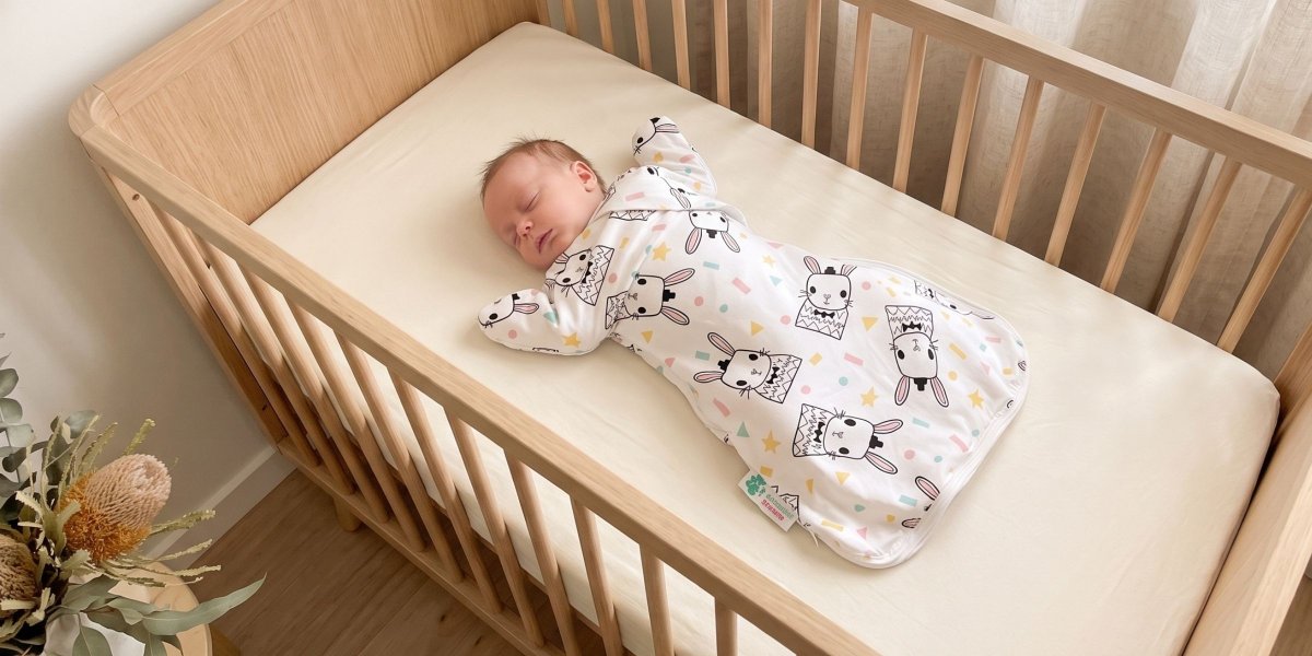 The Complete Guide to Baby Loves Sleep: Milestone Solutions for Every Bub