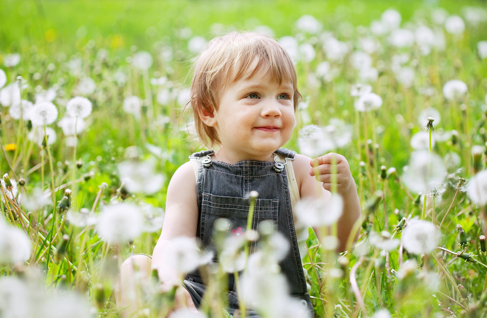 Tips for Surviving the Spring Hay Fever Season